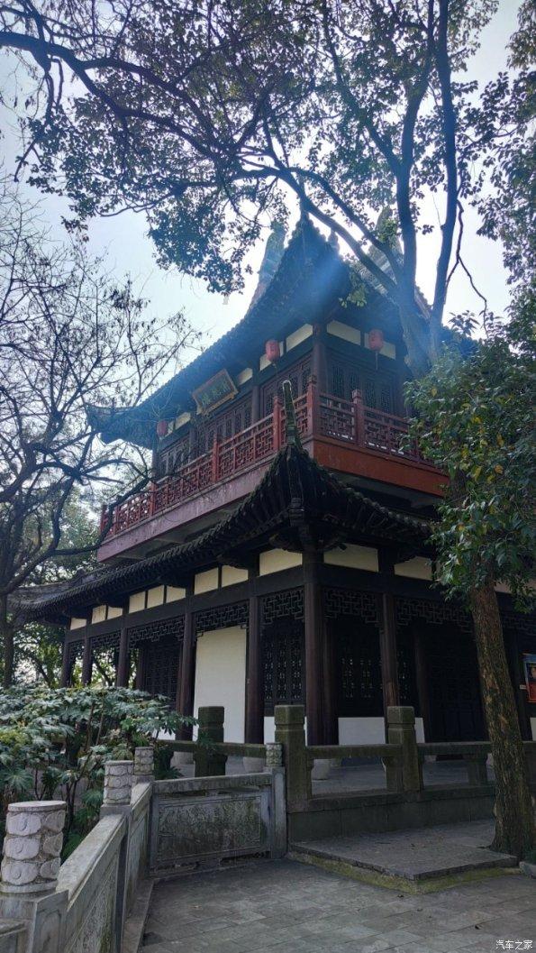 细胞分裂4